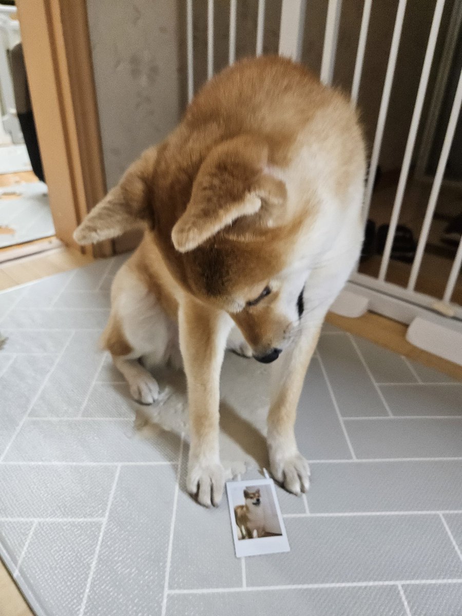 친척이 뽑아줌 큭큭