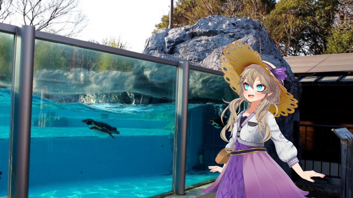 saitamakanko's tweet photo. 春日部つくしと申します！

この間、埼玉県こども動物自然公園に行ってまいりました！✨
ペンギンさんが気持ちよさそうに泳いでいるのを見ると、こちらまで癒されます🐧💕

そしてクォッカさんの笑顔…！世界一幸せな動物と言われるのも納得ですわ！
大人も子どもも楽しめる素敵な場所！ぜひ行ってみてくださいね🌟

#埼玉バーチャル観光大使 #春日部つくし #ちょこたび埼玉 #埼玉県こども動物自然公園 #クォッカ