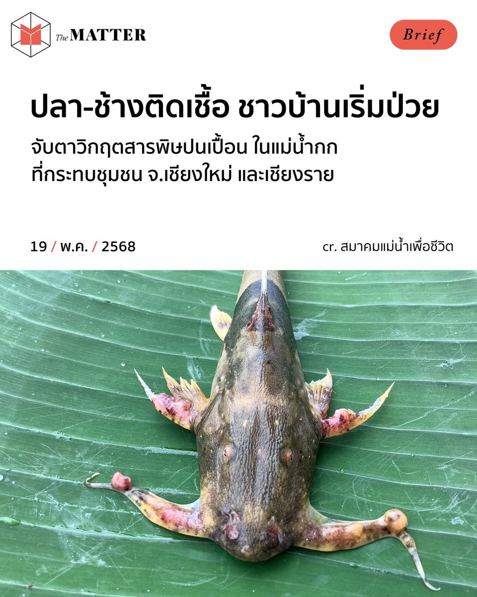 จับตาวิกฤตสารพิษปนเปื้อนในแม่น้ำกก

หลังล่าสุดมีรายงานว่า เริ่มส่งผลกระทบต่อคนและสัตว์ในบริเวณ อีกทั้งการท่องเที่ยวย่ำแย่เช่นกัน

ด้านองค์กรแม่น้ำนานาชาติ และสมาคมแม่น้ำเพื่อชีวิต เรียกร้องให้รัฐบาลเร่งแก้ไข