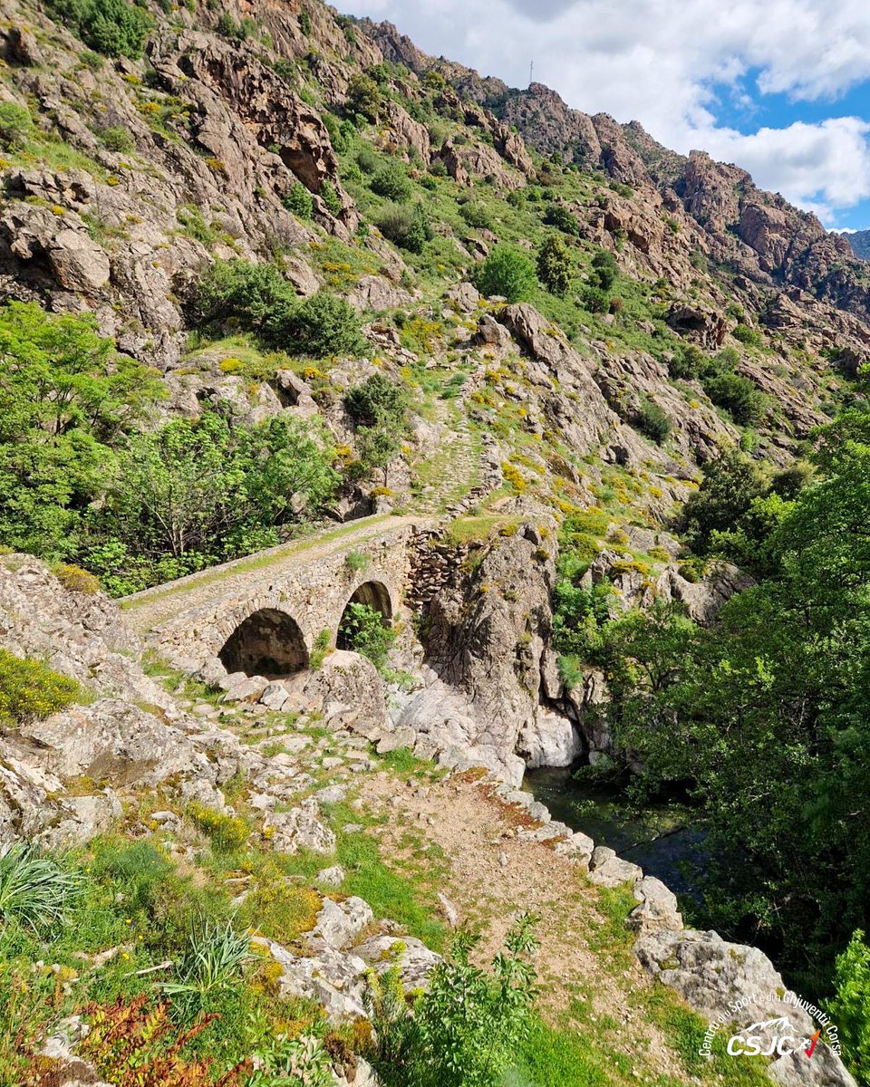 csjcorse's tweet image. 🍃⛰️ EPS Globalisée à Calacuccia !
#corse #corsica #sports #sports #eps #nature #landscape