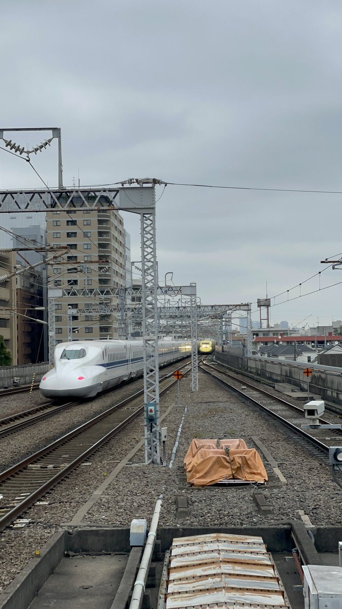 hamu1ro's tweet photo. 2025/5/19
12:00��ぎ
#ドクターイエロー
#新横浜駅 https://t.co/XHohX7cULK
