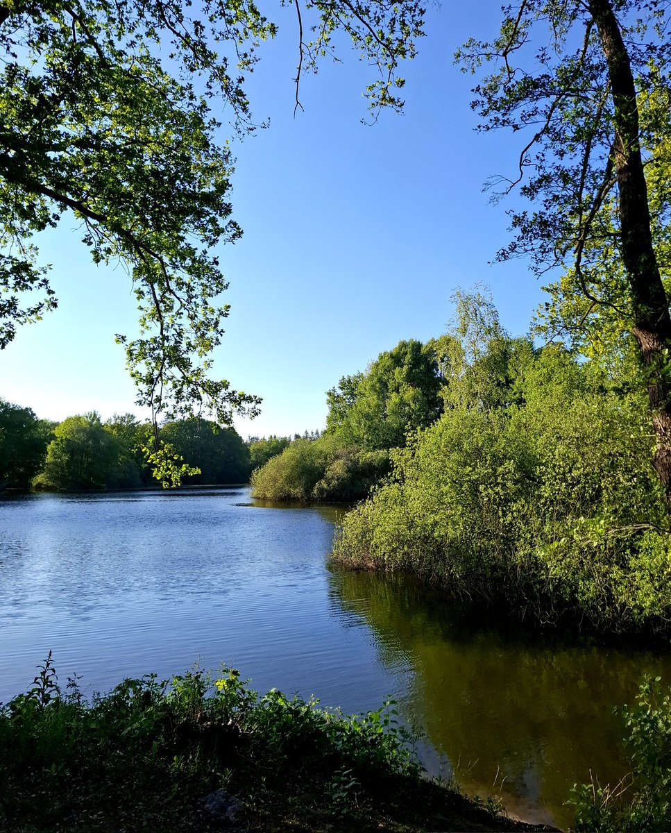 chriz31_07's tweet image. Einen schönen Wochenstart allen....👋🐕🌿
#MondayVibes #NaturePhotography #nature