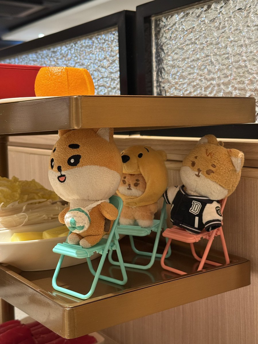 중콘 보러가기 전에 친구들이랑 하이디라오에 갔어요 쁘띠멀즈들은 다 의자위에 서있는데 왕대두 케둥이만 야무지게 앉아있음 ㅜㅜ