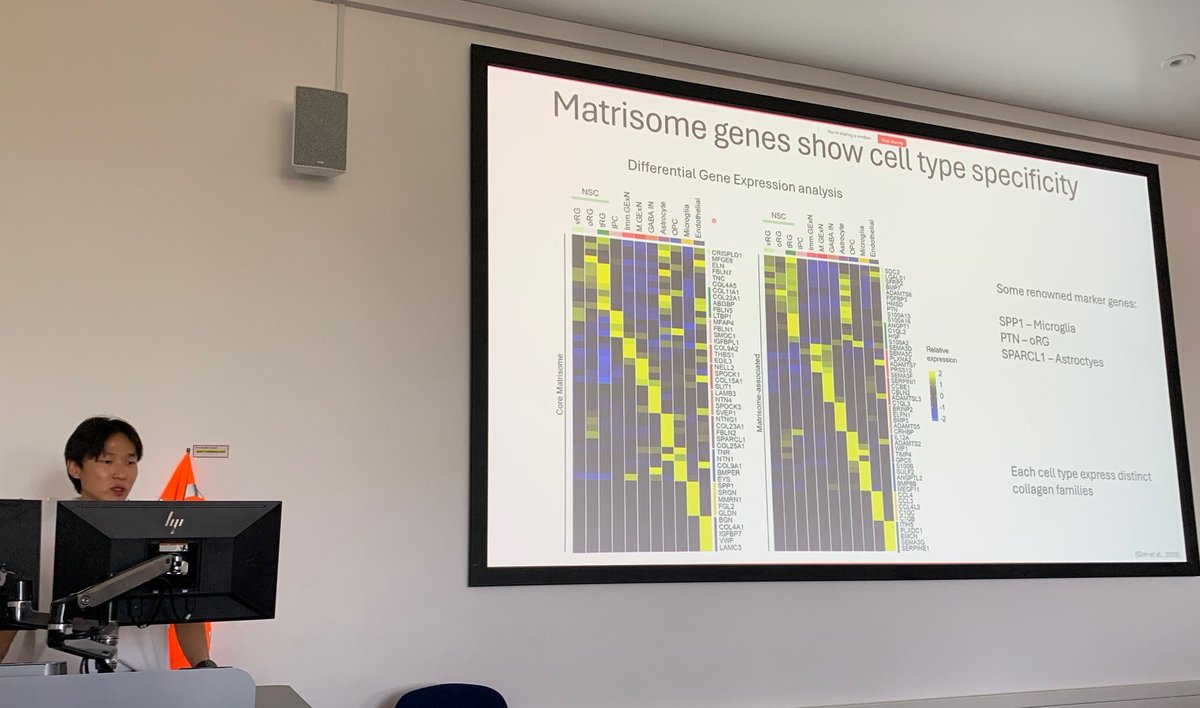 kangberglab's tweet image. 🎓 Congratulations to Dr Do Hyeon Gim on a brilliant PhD defense! His thesis uncovers cell-type and temporal-specific matrisome expression signatures in human cortical development and neurodevelopmental disorders. Read it here: doi.org/10.1101/2025.0…