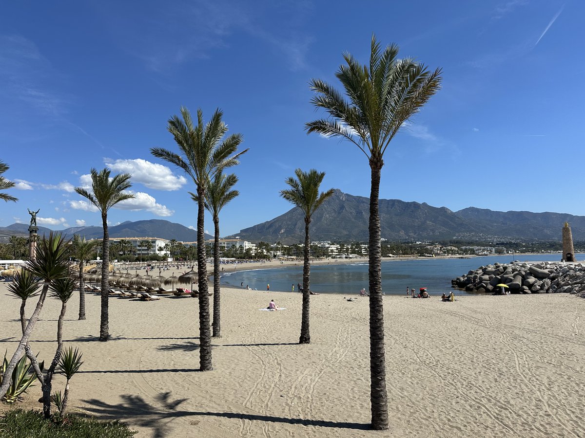 GM 😎

beach office 🌴

ABIT to the moon 🚀 🚀

abitoken.io 💻

#token #Marbella #Web3 #Finance #decentralized #BNBChain