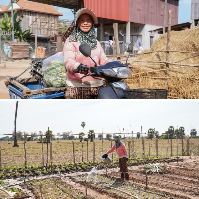 🌾 Purchasing local ingredients not only improves #SchoolMeals for children, it also provides a stable income for farmers!

👩‍🌾 In #Cambodia 🇰🇭, Soe Sem⬇️ delivers fresh vegetables to local schools through the national #SchoolMeals programme. Hear from her: shorturl.at/1ZAMM