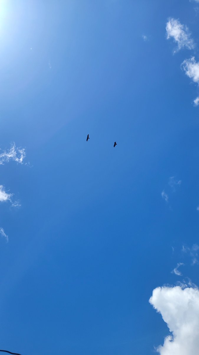 SteveKaruma's tweet image. Einen schönen Wochenstart allen....👋🐕🌿
#MondayVibes #NaturePhotography #nature