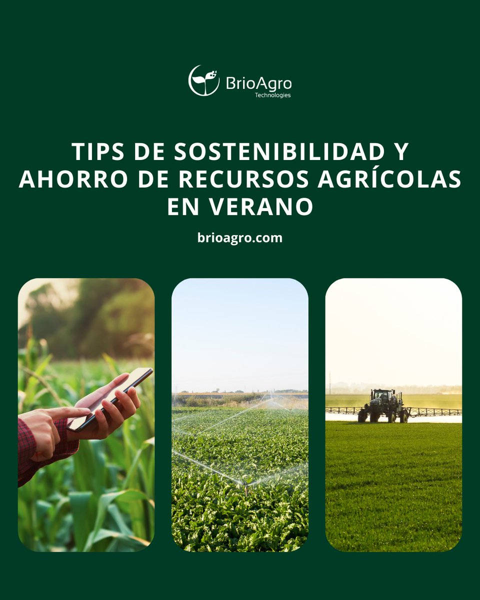 El calor del verano exige estrategias de gestión inteligente.

• Riego Eficiente: Ajusta el riego según las necesidades reales del cultivo, con los sistemas de riego inteligente de BrioAgro.
• Fertilización Óptima
• Monitorización Tecnológica

🌐 brioagro.com/es