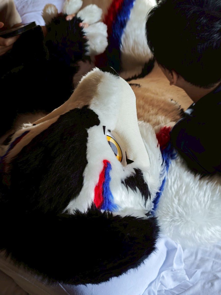 ぐらんで (@grande_8823) on Twitter photo これは構ってもらってご満悦なりむさん
 #旭高原オフ2
📷<a href="/perrucherc/">インコレーサー</a> これは構ってもらってご満悦なりむさん
 #旭高原オフ2
📷<a href="/perrucherc/">インコレーサー</a>