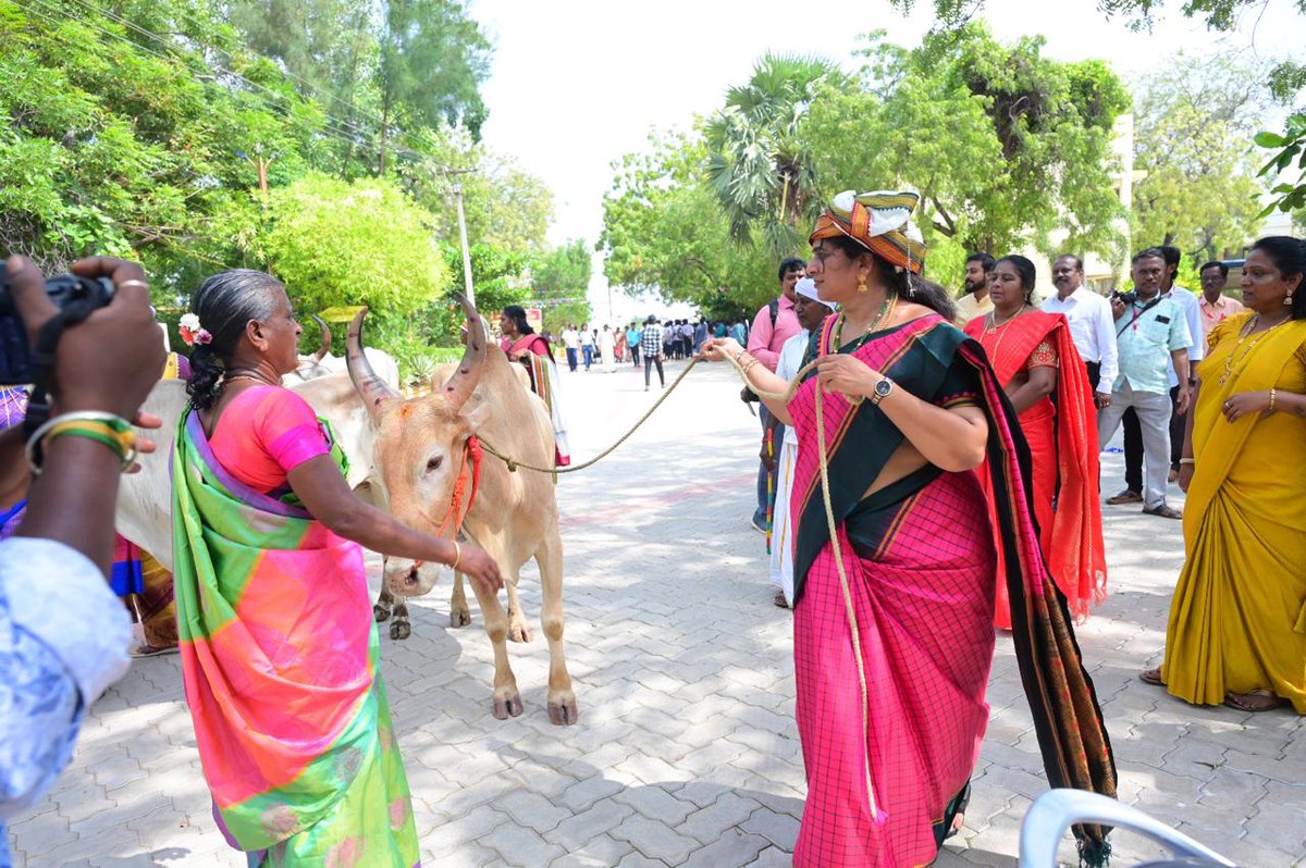 KrishnaRKTN's tweet photo. *ஜனவரி 10 தூத்துக்குடி மாவட்டத்தின் தைத்திருநாள் பொங்கல் ��ராளமான போட்டிகளுடன் சிறப்பாக கொண்டாடப்பட்டது* https://t.co/xFYRN0IYTj