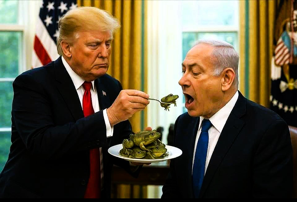 BaruchSharon1's tweet photo. @2tX8VquJ5PhvjK6 חחח.... כזאת סגידה עיוורת וחרשת לפסיכופת שקרן כושל ומושחת לא נראתה במקומותינו הרבה זמן.
בתיאבון לכל הביבידיוטים. https://t.co/JC9vQR55Aj