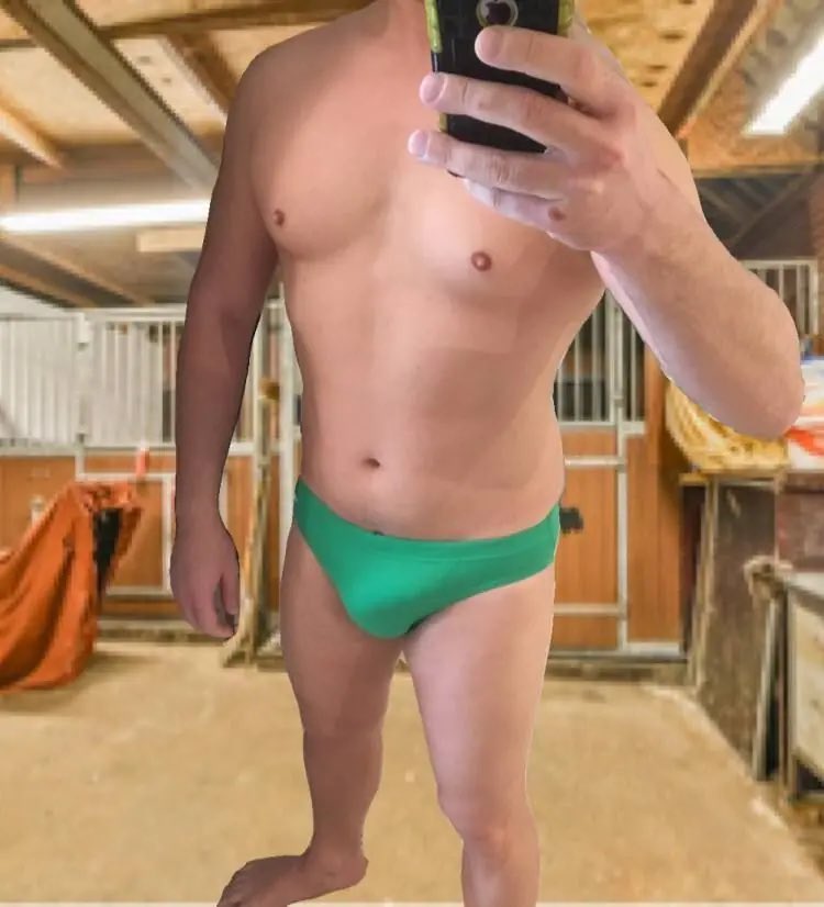 LycraBull's tweet photo. Daily work in a stable 
#speedos #gaybulge #gayspeedos  #bulge #fit #speedos @maspalo75 @MenSpeedos https://t.co/N63PIRLvEZ