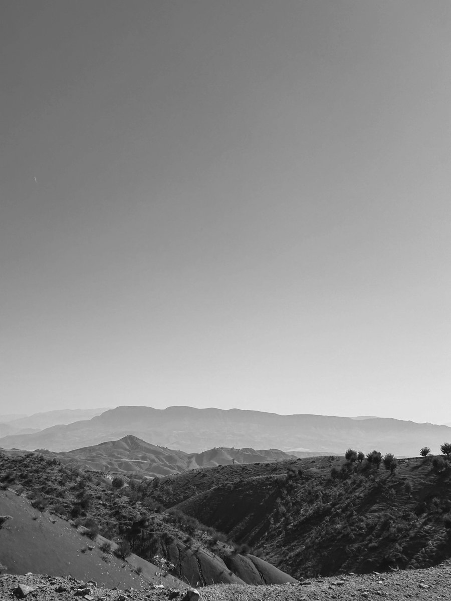 Who's online and eager to earn REP? Like, reply, or retweet for instant rewards—one action equals one REP. Time to dive in and rack up those gains! <a href="/Suigar_com/">Suigar</a> <a href="/sui_glitch/">amon</a> <a href="/nemoprotocol/">Nemo</a>