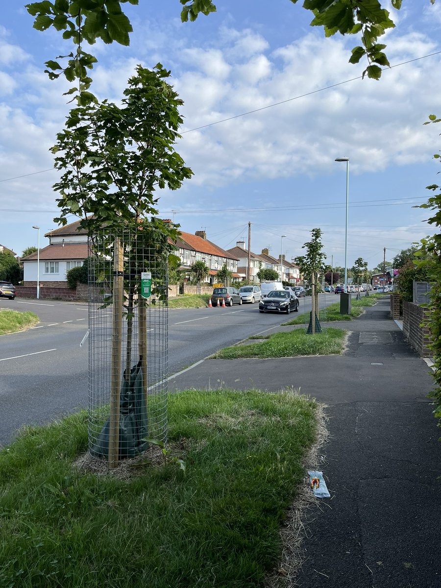 Trees for Streets (@treesforstreets) on Twitter photo We are partnering with <a href="/NewhamLondon/">Newham London π</a> to help them bring additional biodiversity to the area, guided by community input, just one of the ways the council aims to plant more trees on streets and in parks and green spaces π³π²
Find out how to get involved π sponsor.treesforstreets.org/provider/newhaβ¦ We are partnering with <a href="/NewhamLondon/">Newham London π</a> to help them bring additional biodiversity to the area, guided by community input, just one of the ways the council aims to plant more trees on streets and in parks and green spaces π³π²
Find out how to get involved π sponsor.treesforstreets.org/provider/newhaβ¦