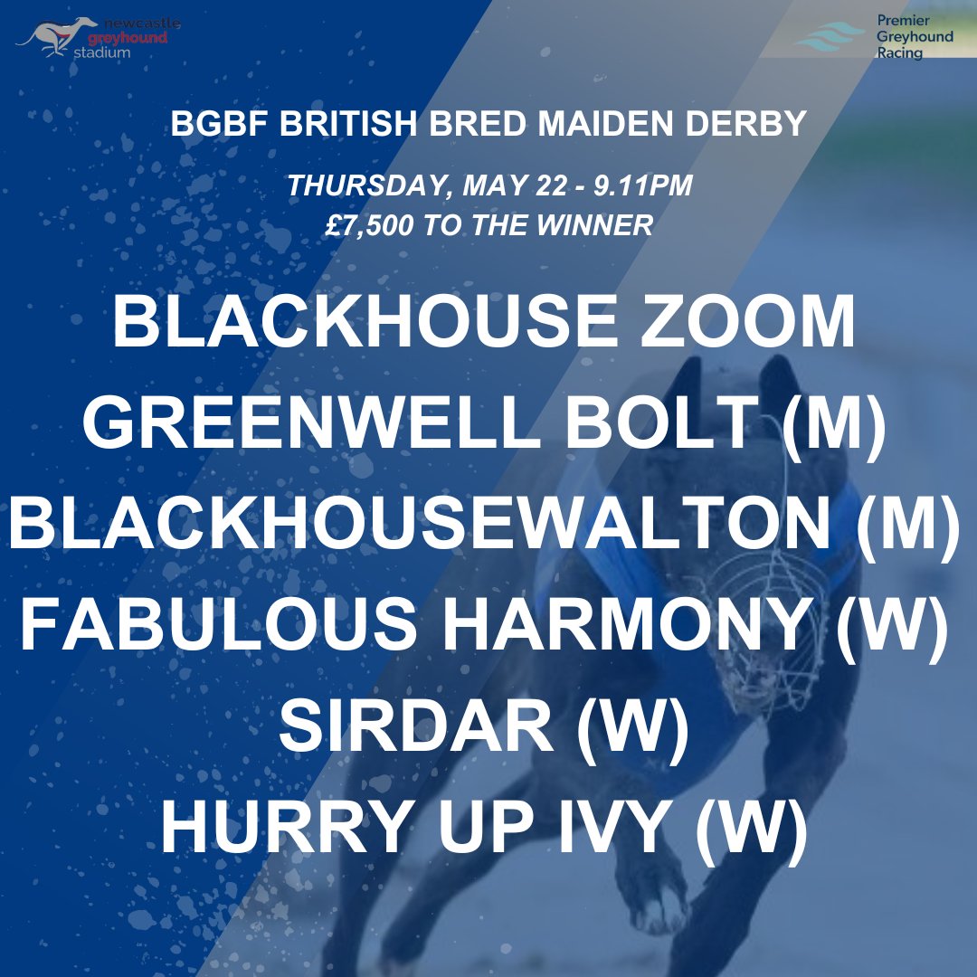 Newcastle Greyhound Stadium (@newcastledogs) on Twitter photo Join us tomorrow as we crown our 2025 <a href="/BGBF_UK/">British Greyhound Breeders Forum</a> British Bred Maiden Derby champion ๐
๐ฐ ยฃ7,500 first prize
โ๏ธ A place in the record books
Who will follow in Rioja Bungle's pawprints and scoop our first Cat' Two prize this year ๐
๐ newcastle-greyhounds.co.uk
#NewcastleDogs ๐พ Join us tomorrow as we crown our 2025 <a href="/BGBF_UK/">British Greyhound Breeders Forum</a> British Bred Maiden Derby champion ๐
๐ฐ ยฃ7,500 first prize
โ๏ธ A place in the record books
Who will follow in Rioja Bungle's pawprints and scoop our first Cat' Two prize this year ๐
๐ newcastle-greyhounds.co.uk
#NewcastleDogs ๐พ