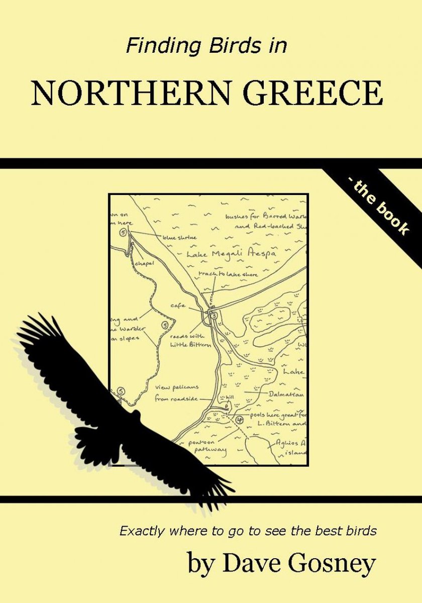 albicilla66's tweet photo. The key areas for #birding in #Greece are, W to E, #Kerkini NP (where you can spend a week & tally over 150 sp), #PortoLagos NP, #EvrosDelta NP, #DadiaForest NP (you need about 10 days to squeeze them all). In early spring consider #Lesvos Isl, or in late spring, #Prespa Lakes NP https://t.co/1Y78cc9OXT