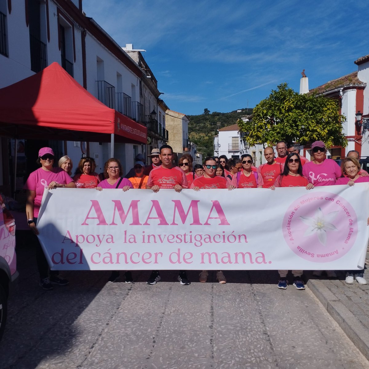 amama-sevilla.es/marcha-solidar…