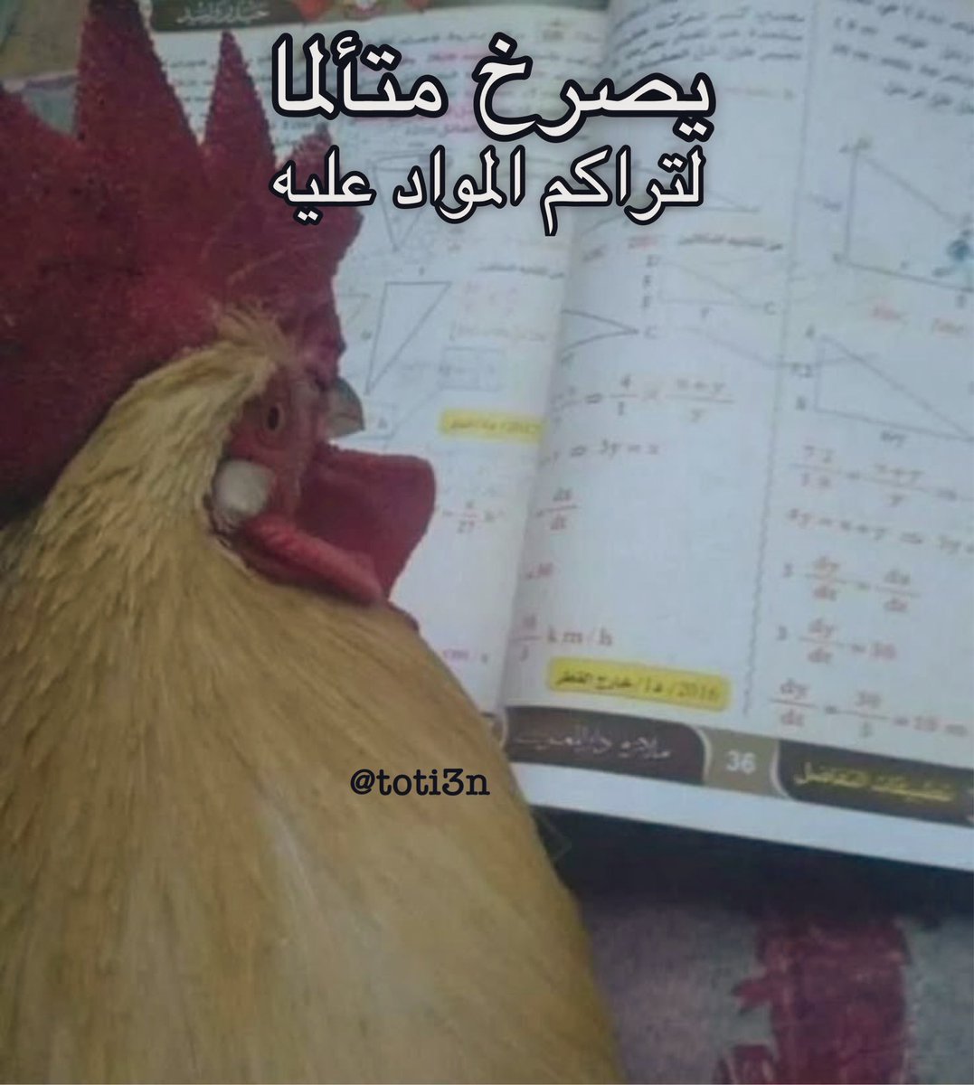 طلبة AUM هالفترة :