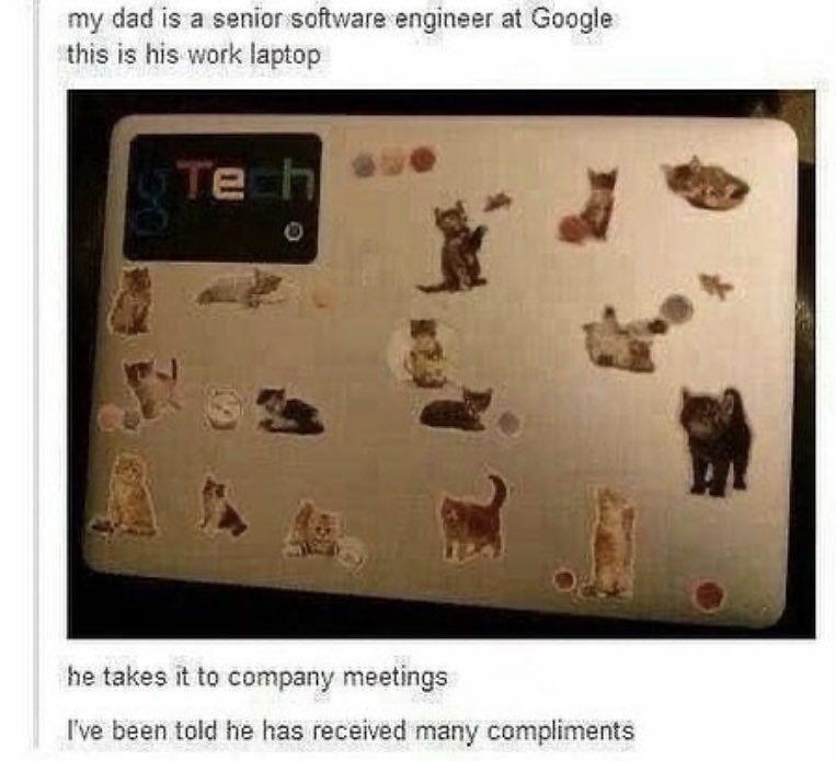 WholesomeMemes tweet media