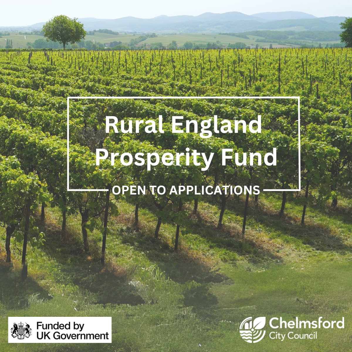 Chelmsford Business tweet media