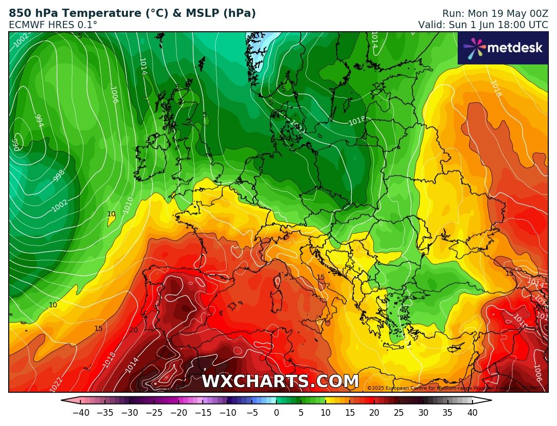 Marco M.M. tweet media