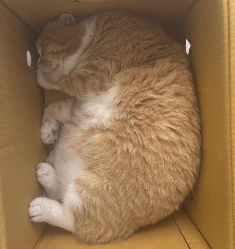 แลกกันมั้ยคะเบื่อสีนี้