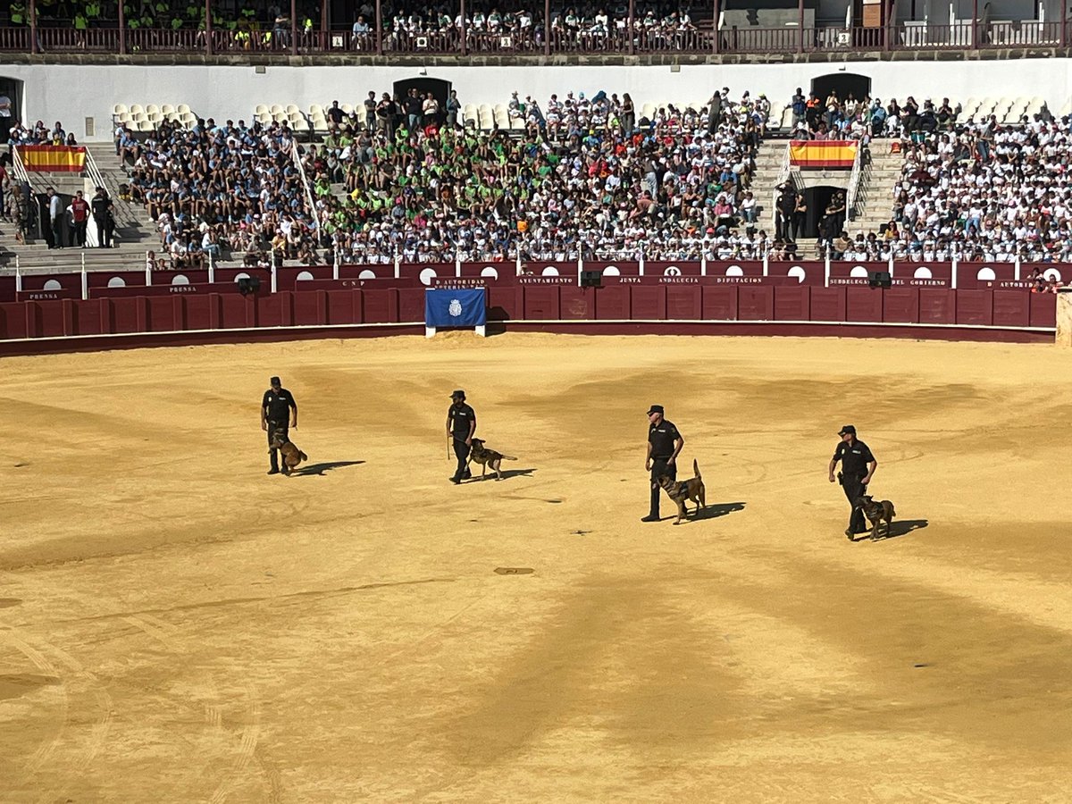 IESGeraldBrenan's tweet photo. El aula específica participó el 14 de mayo en el XI Encuentro escolar de Málaga con la Policía Nacional.
#ActividadesGBrenan #Noticiasinglés #Aulaespecífica @educacionmlg https://t.co/BuE21f8zjH