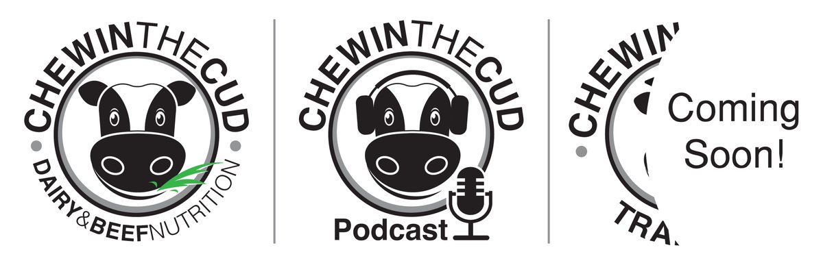 Well it's now 3 years since <a href="/ChewintheCudNut/">ChewintheCud Nutrition</a> became reality, so many thanks to all those that have supported me on this journey so far! Excited to announce that shortly the business will be offering another service to it's clients! #TeamDairy #Beef