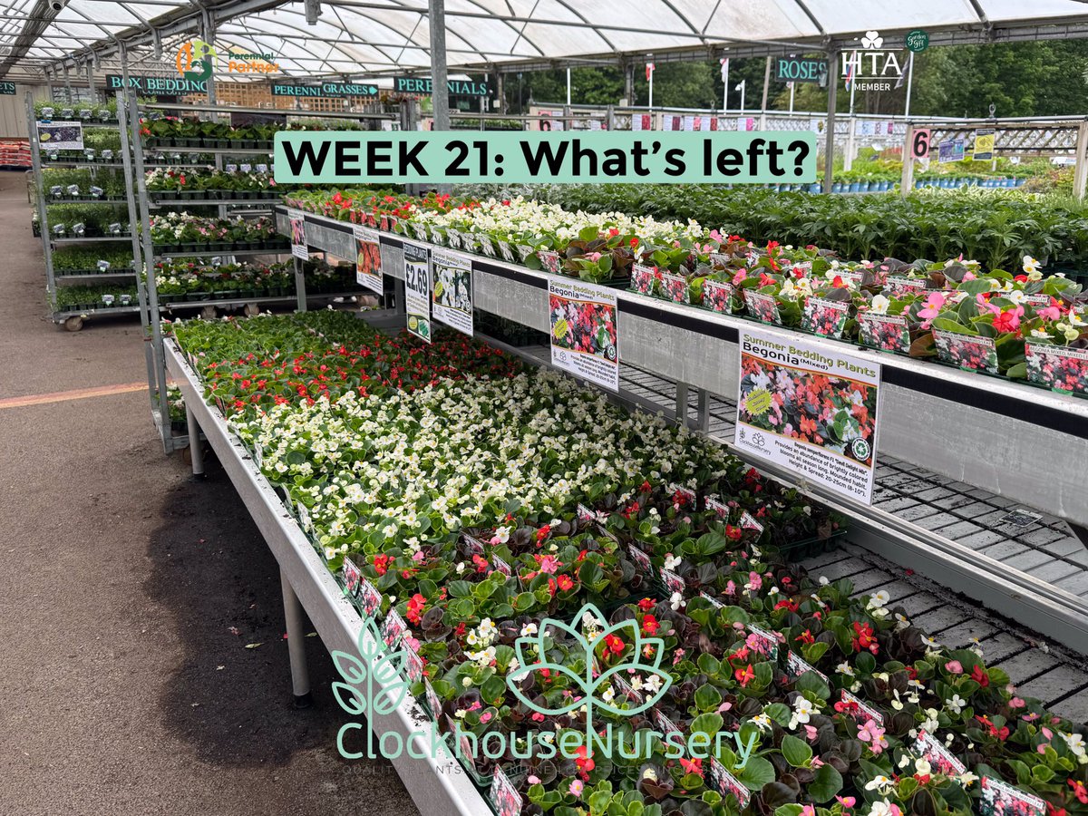 WEEK 21: What’s left?

Good morning #gardeners. Another busy weekend has passed us by &amp; despite still selling large amounts of summer #plants, the selection remains good… for now. So this post, being just over mid way through May, is going to be a couple of lists to inform you