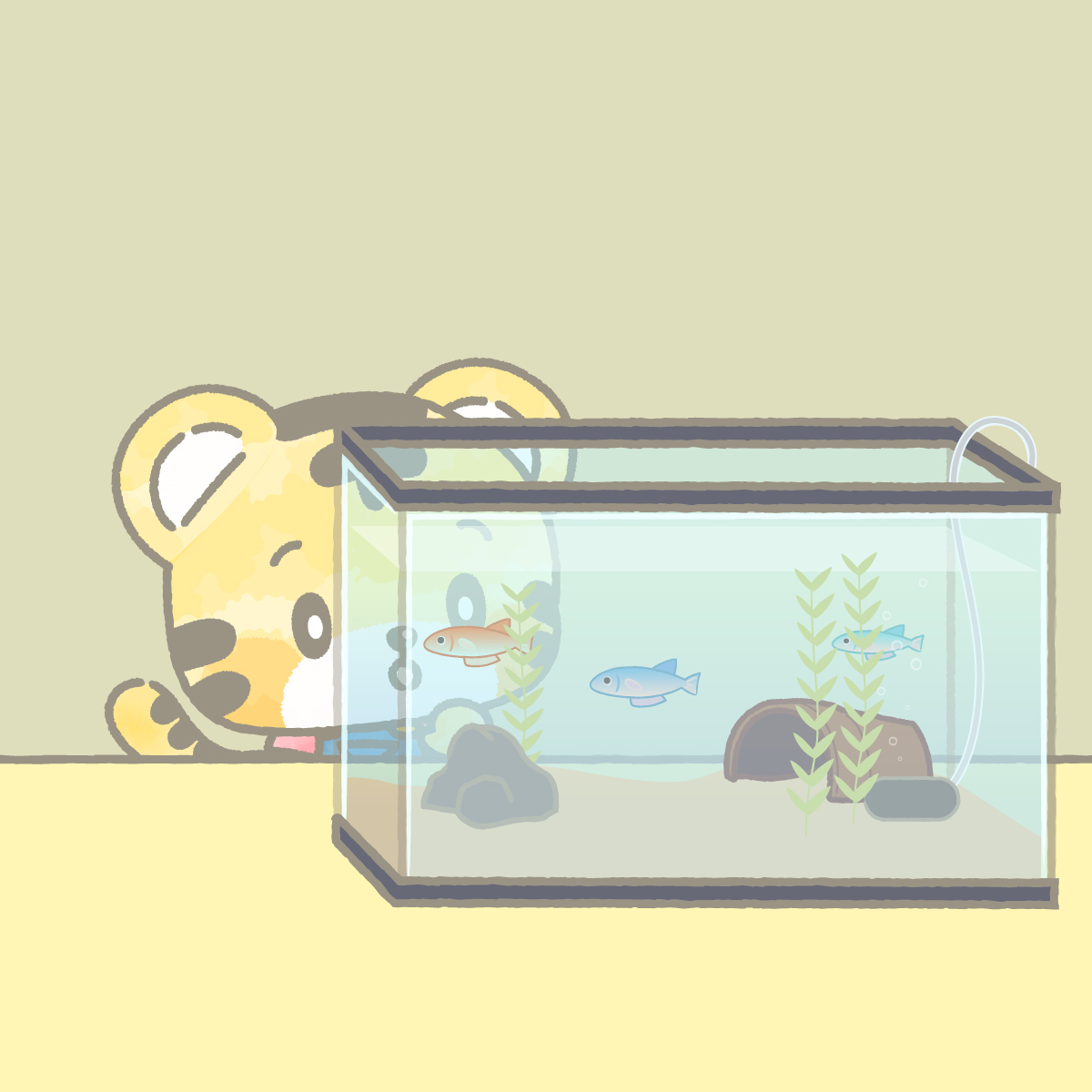 おさかなも運動会してるのかな