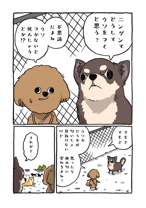 人間のウソについて考える犬(1/2) 
