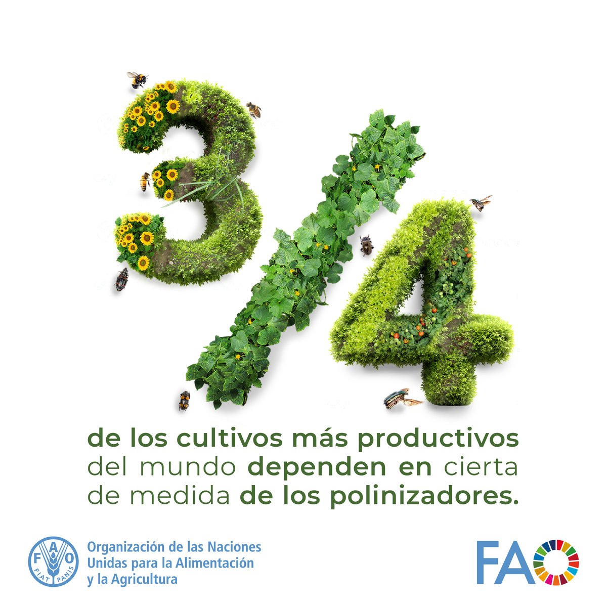 🐝Sin las abejas y otros polinizadores muchos de nuestros alimentos no existirían.

💛¡Cada día, acuérdate de los pequeños ayudantes que trabajaron duro para producir tus alimentos!

#DíaMundialDeLasAbejas #HéroesDeLaAlimentación