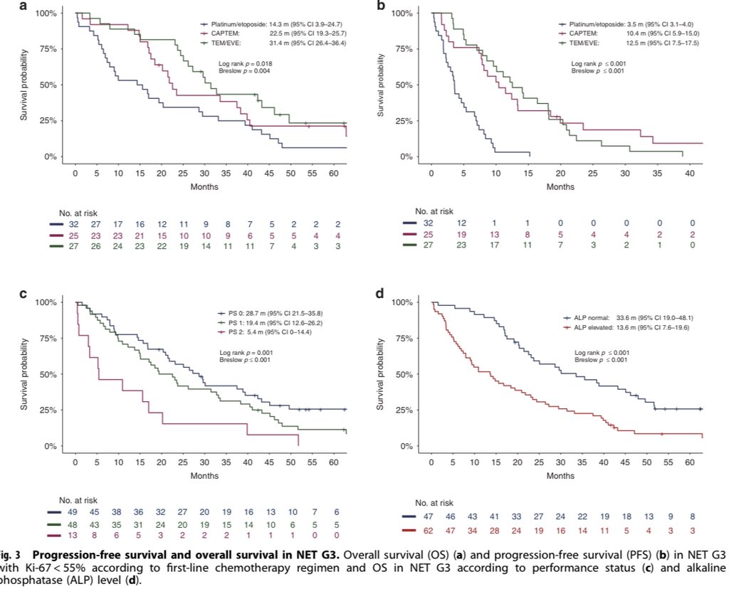 💥NORDIC NEC 2 💥

📢 New prospective multicenter study on digestive high-grade neuroendocrine neoplasms (HG-NEN) 💡

🧬 Subtypes: NEC vs NET G3
👥 n=544 (NEC: 427, NET G3: 117)
💊 Palliative chemo outcomes:

📉 Immediate progression:
•NEC: 41%
•NET G3: 24%

📊 Median PFS: