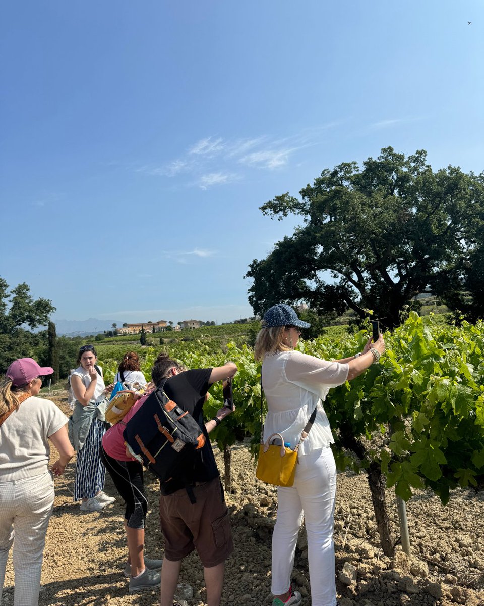 Aquest diumenge vam viure una jornada molt especial a <a href="/covides/">Covides</a> amb #LaPrimaveraDelCava: taller de fotografia entre vinyes florides amb Marc Cuscó + tast Km0 amb vins i caves ecològics 🍷🌱

ℹ️ covides.com/exit-del-talle…