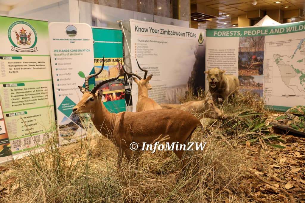 InfoMinZW's tweet photo. The Southern African Development Community (SADC) Transfrontier Conservation Areas (TFCA) International Conference has kicked off in Harare. The event, being held at HICC from 19 to 23 May 2025, is themed "Transfrontier Conservation Areas-25 years of cooperation for regional integration and sustainable development."

The summit celebrates 25 years of regional cooperation in biodiversity conservation, sustainable development, and ecotourism, bringing together Heads of State, traditional leaders, and experts from 16 member states. Through TFCAs, SADC member states have made significant strides in conserving biodiversity, promoting sustainable livelihoods, and fostering regional cooperation.
#SADCTCFA