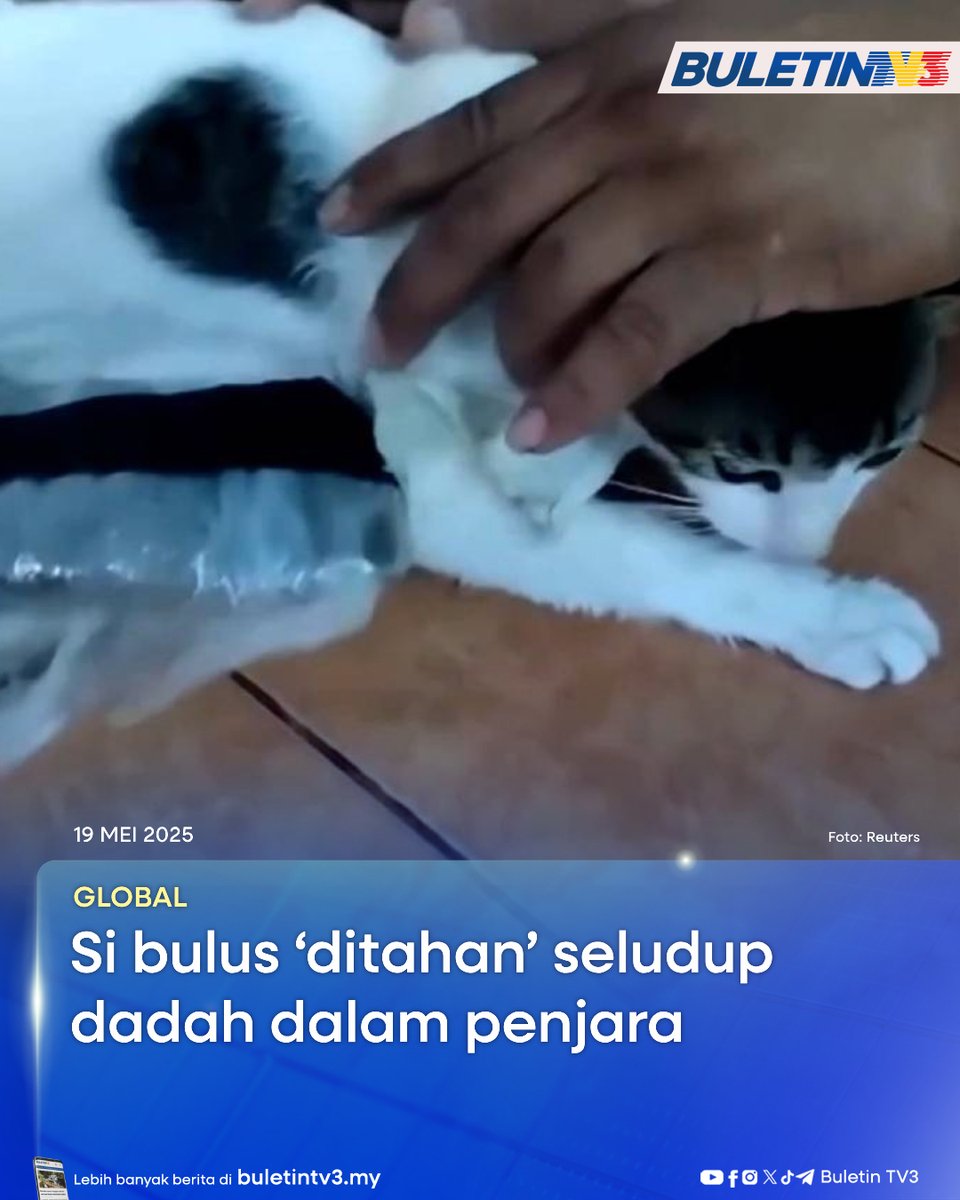 BuletinTV3's tweet photo. GLOBAL | Sindiket penyeludupan dadah terus menggunakan pelbagai taktik licik dalam usaha membawa masuk bahan terlarang ke dalam penjara.

#BuletinTV3 #SiBulus #Dadah #Penjara https://t.co/WjRdVCc85l