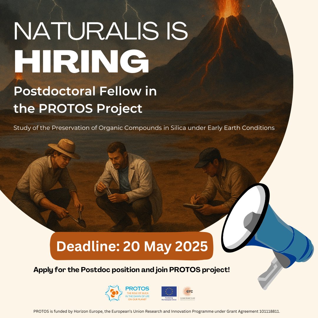 PROTOS ERC (@protos_erc) on Twitter photo 🚨 Last chance to apply! 🚨
🌍🧪 The Postdoctoral Fellow position in the <a href="/ERC_Research/">European Research Council (ERC)</a> PROTOS project at Naturalis Biodiversity Center (📍Leiden, The Netherlands) closes in less than 24h!
📅 Deadline: May 20, 2025 CEST
🔗 Apply here: naturalis.nl/en/about-us/jo…
📢Spread the word! 🚨 Last chance to apply! 🚨
🌍🧪 The Postdoctoral Fellow position in the <a href="/ERC_Research/">European Research Council (ERC)</a> PROTOS project at Naturalis Biodiversity Center (📍Leiden, The Netherlands) closes in less than 24h!
📅 Deadline: May 20, 2025 CEST
🔗 Apply here: naturalis.nl/en/about-us/jo…
📢Spread the word!