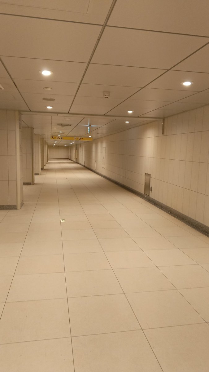 MinuraNakatawa's tweet image. I have been walking around for an hour now. I am lost. Where the fuck is everybody??