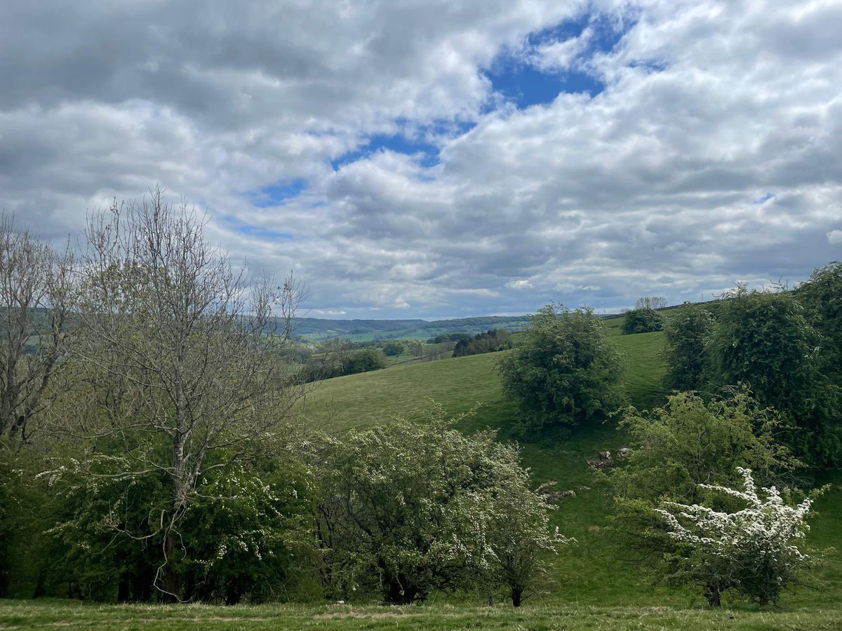 CCPS_SA's tweet photo. The weather was perfect last weekend to get outside and take part in Wild 2025! 🌿 Don’t forget to share your photos with us—we’d love to see your adventures! 📸 #Wild2025

https://t.co/jGc0KtGz5k

🌽 Thanks again to Lichfield Maize Maze for sponsoring this event.
@CCPSLichfield https://t.co/Ch4qTSAD3m