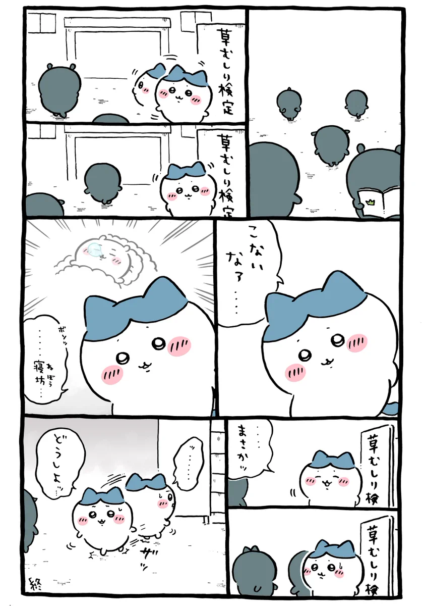 ハチワレちゃん　ご相談ページ 大島 美津子@ on X: 