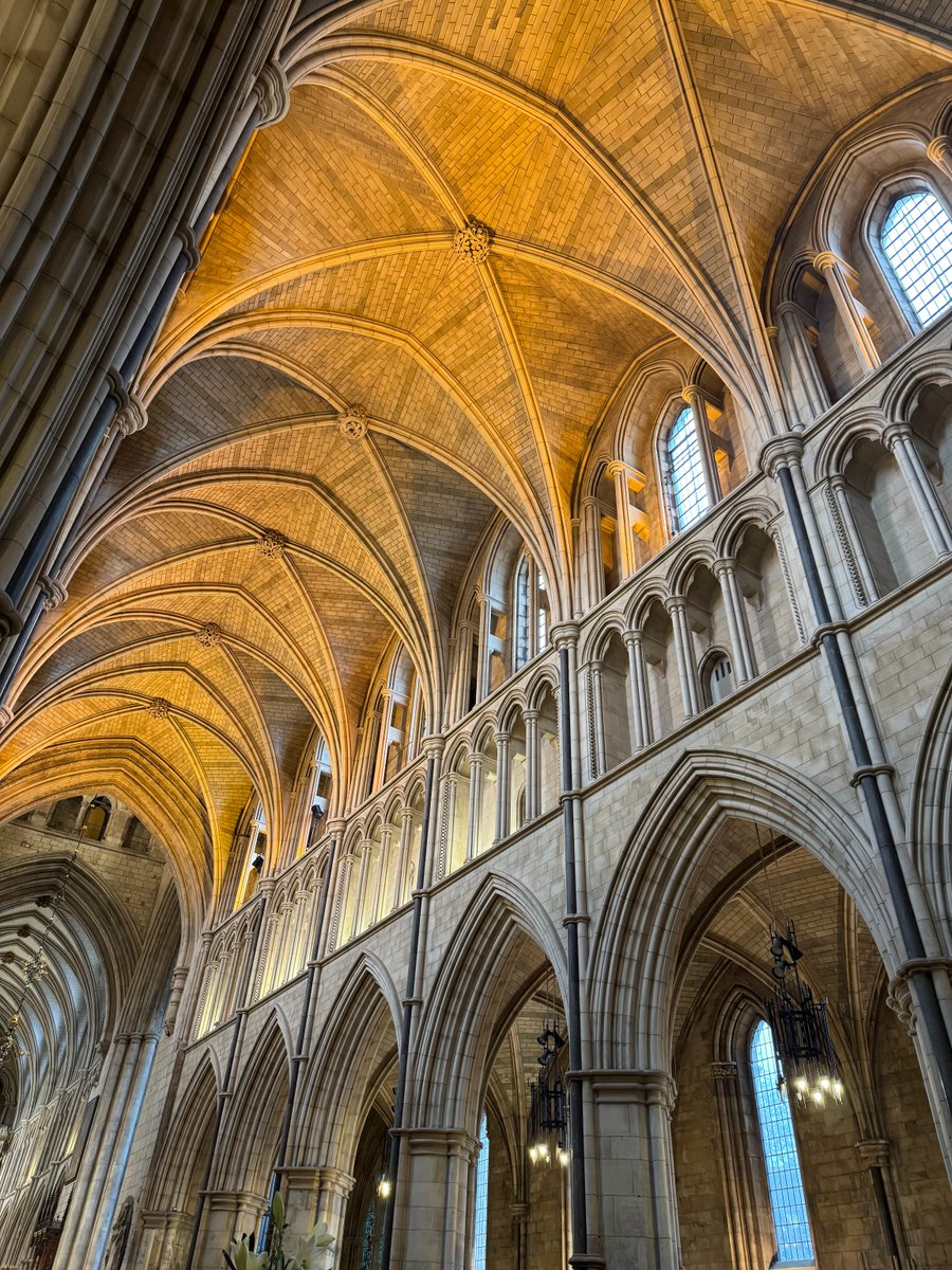 ⛪What's On this Week
~
🎹Lunchtime Organ Recital | today, 1.20pm
🎵 Music Recital | Tuesday, 3.15pm
🎭Outdoor Theatre with The HandleBards | Thursday, 7pm
📸 RPS Landscapes exhibition | daily
~
Visit our website to find out more about our upcoming events 
ow.ly/5wEP50VPQSj