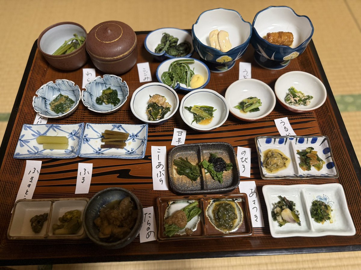 dorider7's tweet photo. 山菜を食べたくて、月山ももさんのブログ記事も参考に、長野に旅行してきた🚄
こういうのを『ご馳走』って言うのだと、実感。
贅沢すぎる食事でした。 https://t.co/wCjRcxvLfo