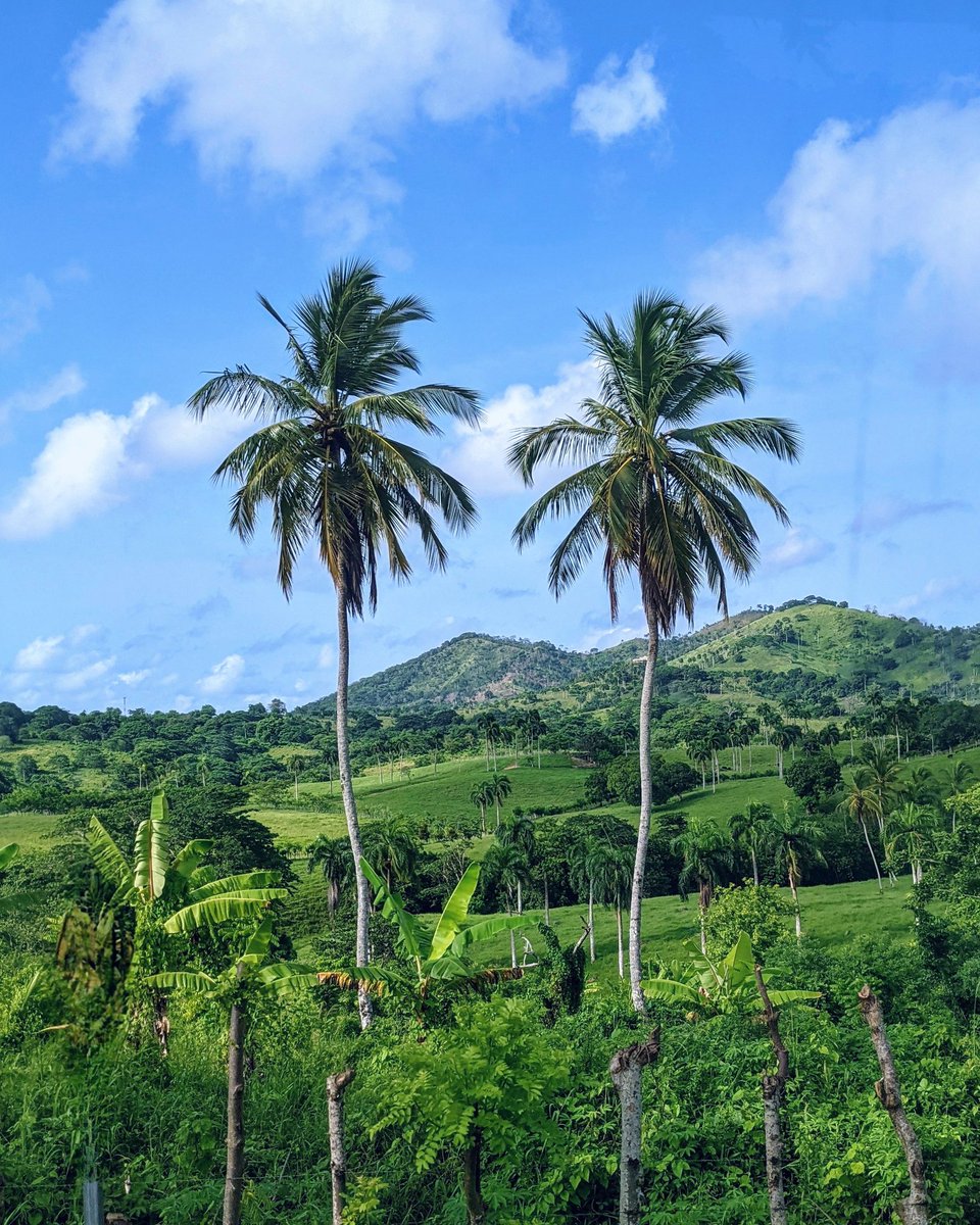 aka𝗙𝗼𝗹𝗲𝘆 💎💜 tweet media