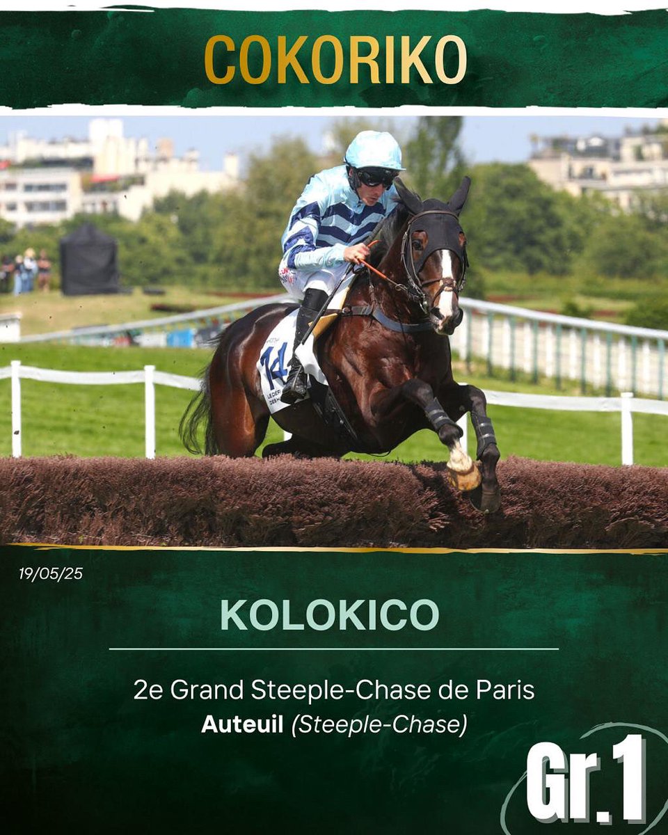 HarasDeCercy's tweet photo. 🥈 Cokoriko signe un nouvel accessit de prestige grâce à Kolokico, 2e du Grand Steeple-Chase de Paris (Gr.1) à Auteuil !

Déjà vainqueur du Prix Ferdinand Dufaure (Gr.1), le fils de #Cokoriko confirme son talent au sommet de l’obstacle 🏇

#Cokoriko #Kolokico #HarasdeCercy https://t.co/3OwrJwCzlK
