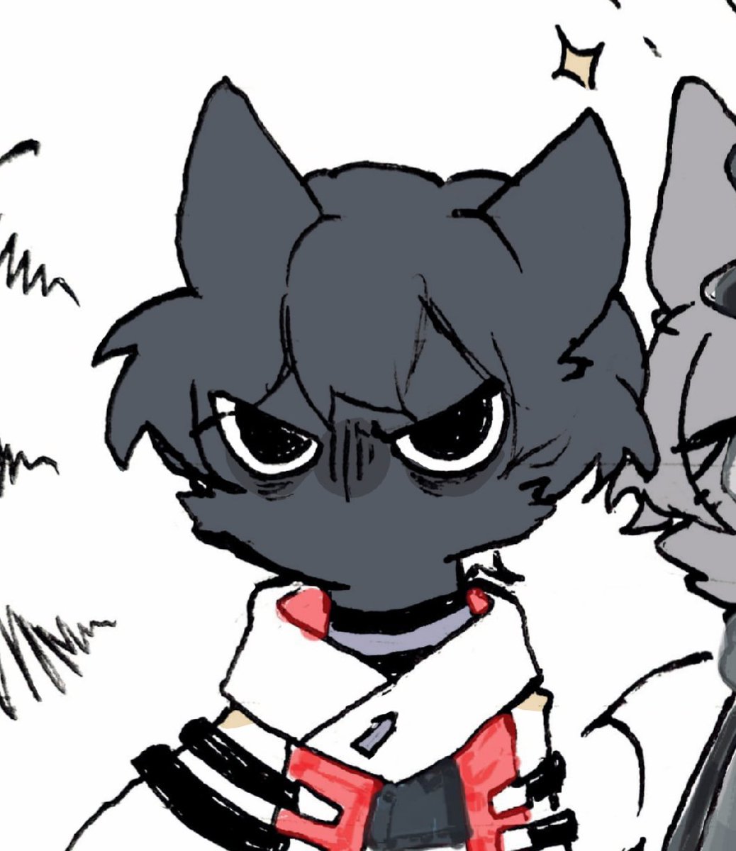 CATSIMOV MENTIONED??!?!?!?!?!!!!!!!!! SO SILLY AHHHHHHHH!!!!!!!