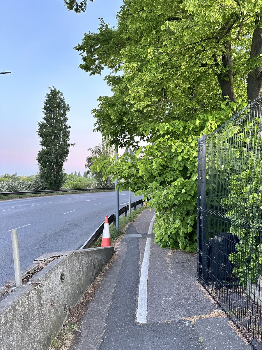 Banksy_77's tweet photo. Any chance of @yourcolchester looking at the overhanging trees at the top of Cowdray Avenue? 
Only a matter of time before the cycle path is impassable on a bike…. https://t.co/a0nNojyHrh