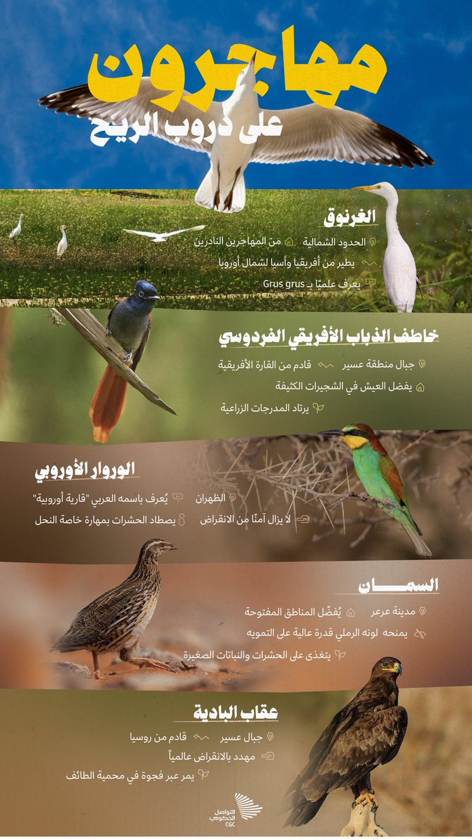 M_Huzaim0's tweet photo. الحمد لله على تمام تجربة أوفت بالوعود👏🏼
أتممت تدريبي التعاوني لدى @CGCSaudi .تجربة عملية متفردة نتاج بيئة متكاتفة أتاحت ممارسة وصقل مهارات عدة،منها:
اختزال المعلومات  دون إخلال
جمعها وتحريرها إبداعياً
تغطية المناسبات لحظة بلحظة
دونكم مجموعة منشورات ساهمت بتحريرها👇🏼 https://t.co/YqNcSk6may