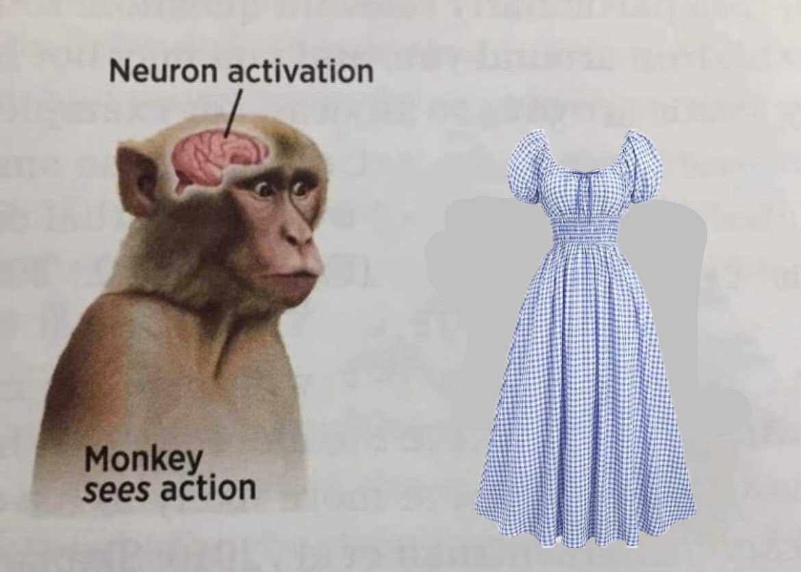 VraiconAlpin's tweet photo. Il faut mener une étude mesurant les effets de la robe d’été sur la chimie cérébrale masculine. https://t.co/7VQPk98VBY