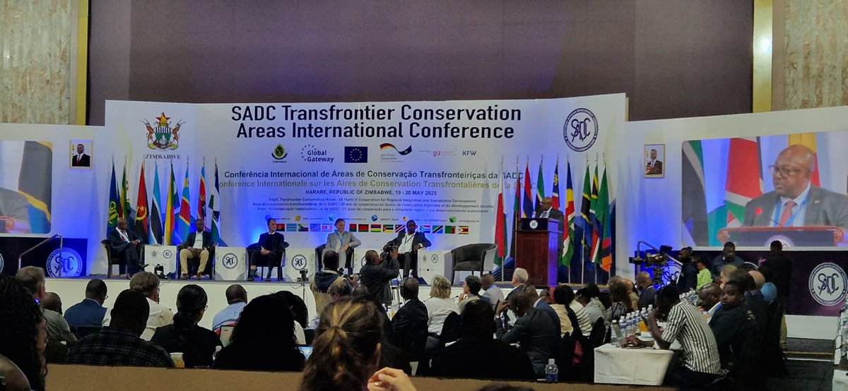 euinzim's tweet image. 📢 Happening Now: The 🇪🇺EU and 🇩🇪Germany proudly supporting the efforts of #SADC countries to protect biodiversity and support communities in Trans Frontier Conservation Areas. Great attendance to the Conference and Summit in Harare this week.
#Silani #Tinemi #EUWithYou🇪🇺🇿🇼