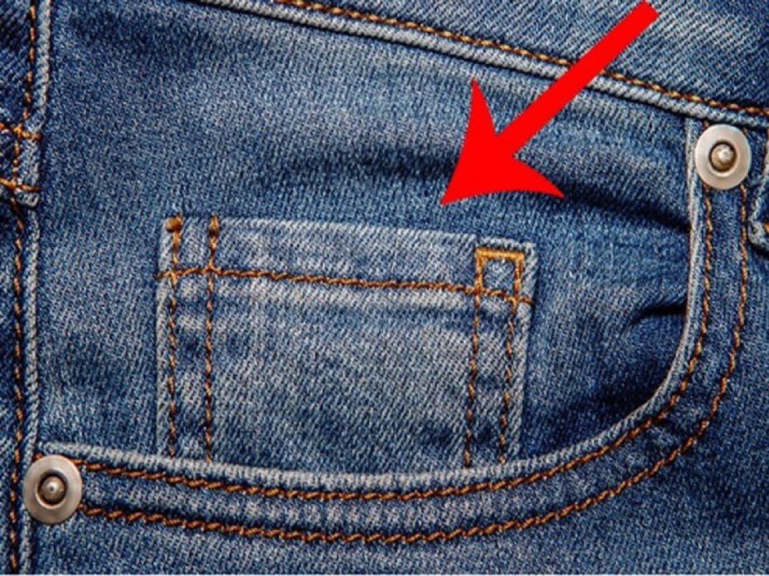 NoContextHumans's tweet image. What is this pocket for??
